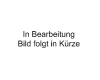 ZAP Gabelschlüssel KYB Showa Achtkant 49mm mit Federstopper