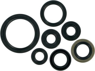 MOOSE SIMMERINGSATZ MOTOR SIMMERRINGE SUZUKI DRZ 400 00-03